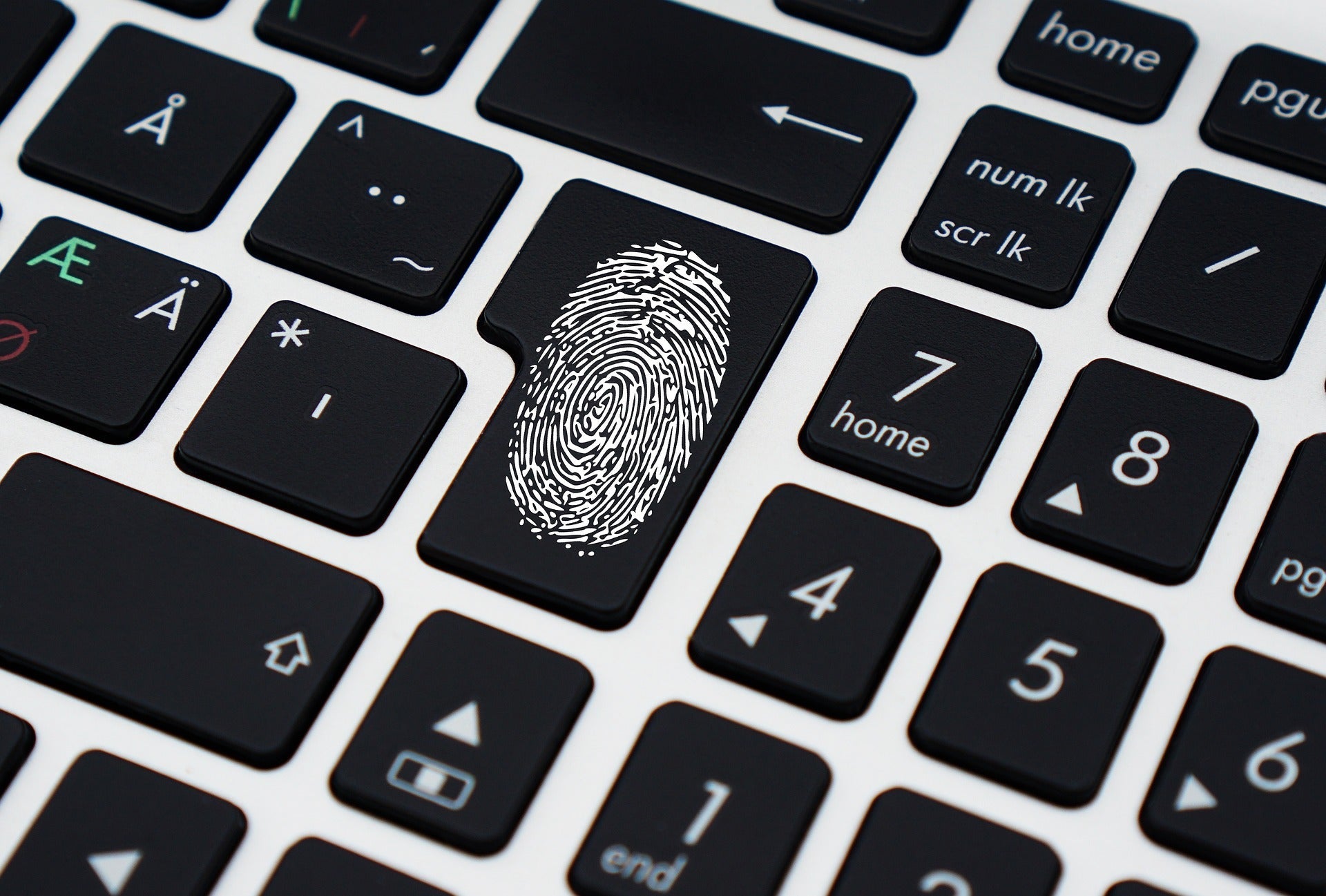 Property Hijacking and the Licensed Conveyancer - Access Law Online