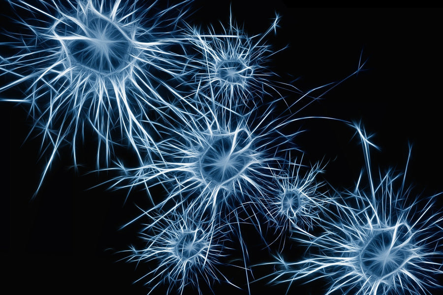 5 Lifestyle Habits which will Boost your Brainpower