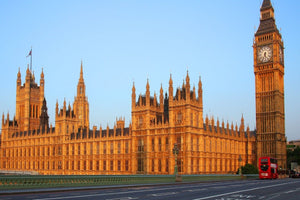 The English Legal System (2025) - Access Law Online